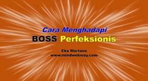 Cara Penghadapi Boss Perfeksionis